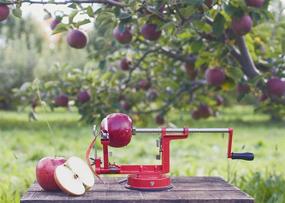 img 1 attached to Effortless Apple Peeling with the Weston Apple Peeler