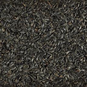 img 1 attached to 🐦 5-Pound Kaytee Wild Bird Black Oil Sunflower Food