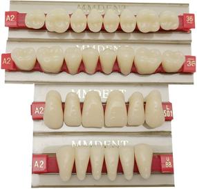 img 4 attached to MMDENT Синтетическая зубная протезная система "Dental Holloween