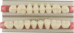 img 2 attached to MMDENT Синтетическая зубная протезная система "Dental Holloween