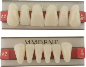 img 3 attached to MMDENT Synthetic Denture Dental Holloween