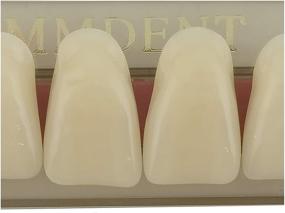 img 1 attached to MMDENT Синтетическая зубная протезная система "Dental Holloween