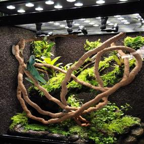 img 3 attached to 🦎 Versatile Tank Decor: PINVNBY Bearded Dragon Accessories for Reptiles, Hermit Crabs, and More!