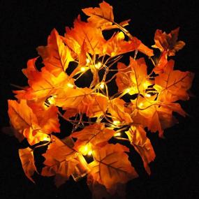 img 3 attached to 🍁 Joiedomi 3 Pack 8.2FT Thanksgiving Lights: Fall Maple Leaves String Lights with 20 LED Warm White Lights for Autumn Garland, Home Thanksgiving Indoor Outdoor Decor