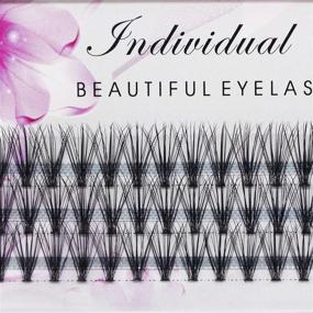 img 2 attached to 👁️ Scala Grafting False Eyelashes: Silky Soft 6D Wave 60pcs 0.07 C Curl 16mm Individual Eyelashes Extension for Glamorous Eyes