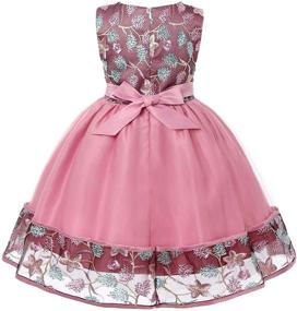 img 2 attached to 🎀 Vibrant Costumes: Birthday Princess Holiday Dresses for Girls' Clothing