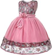 🎀 vibrant costumes: birthday princess holiday dresses for girls' clothing logo