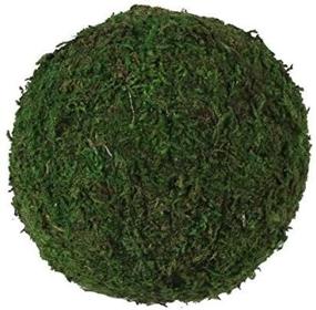 img 1 attached to 🌿 BD Crafts Authentic Moss Ball - Real Natural Moss Products (Pack of 12, 4'' Diameter)