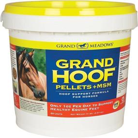 img 1 attached to Grand Meadows Hoof MSM 5Lbs