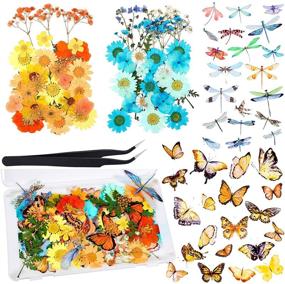 img 4 attached to 🌼 Dried Pressed Flower and Butterfly Sticker Set: Natural Real Floral Scrapbook Decal with Box & Tweezers - Ideal for DIY Resin Making & Decoration (Light Color)