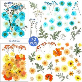 img 2 attached to 🌼 Dried Pressed Flower and Butterfly Sticker Set: Natural Real Floral Scrapbook Decal with Box & Tweezers - Ideal for DIY Resin Making & Decoration (Light Color)