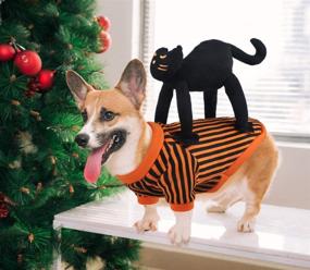 img 3 attached to 🐶 Idepet Dog Costumes Halloween: Funny Pet Dog Suit with Black Cat Design - Perfect for Small Dogs and Cats at Christmas Party and Halloween