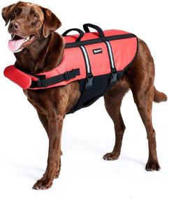 img 3 attached to 🐶 ZippyPaws - Adventure Life Jacket for Dogs - Red - 1 Pet Life Vest