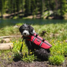 img 1 attached to 🐶 ZippyPaws - Adventure Life Jacket for Dogs - Red - 1 Pet Life Vest