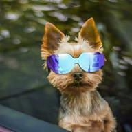 🐶 enhancing small dog goggles: uv protection sunglasses for dogs, windproof & snowproof doggy glasses with flexible straps - ideal for cats and puppies логотип