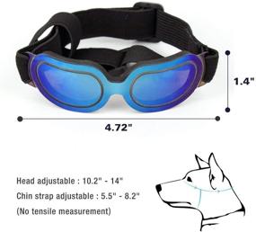 img 1 attached to 🐶 Enhancing Small Dog Goggles: UV Protection Sunglasses for Dogs, Windproof & Snowproof Doggy Glasses with Flexible Straps - Ideal for Cats and Puppies