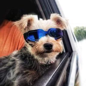 img 3 attached to 🐶 Enhancing Small Dog Goggles: UV Protection Sunglasses for Dogs, Windproof & Snowproof Doggy Glasses with Flexible Straps - Ideal for Cats and Puppies