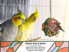img 3 attached to 🦜 Sweet Feet and Beak Super Shredder Ball - Bird Cage Accessories for Engaging Bird Foraging - Safe, Easy Installation Bird Foraging Toys, Treats, and Parrot Toys