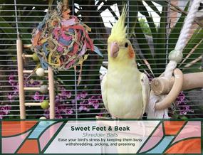 img 2 attached to 🦜 Sweet Feet and Beak Super Shredder Ball - Bird Cage Accessories for Engaging Bird Foraging - Safe, Easy Installation Bird Foraging Toys, Treats, and Parrot Toys