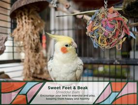img 1 attached to 🦜 Sweet Feet and Beak Super Shredder Ball - Bird Cage Accessories for Engaging Bird Foraging - Safe, Easy Installation Bird Foraging Toys, Treats, and Parrot Toys