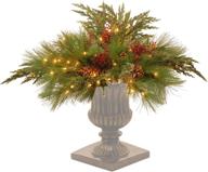 🎄 national tree company pre-lit artificial christmas urn filler - 30 inch flocked decorative collection with led white lights and stand логотип