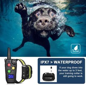 img 1 attached to Ankace Collar Training Rechargeable Waterproof