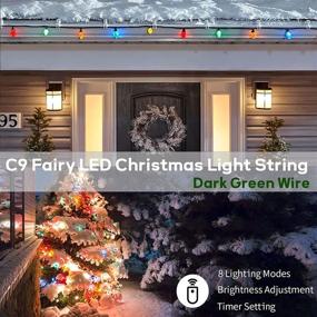 img 3 attached to 🍓 Commercial LED Strawberry String Lights - 100 LED C9 Christmas Lights 66ft Green Wire for Outdoor Indoor Xmas Decor - Decorative Light Strand for Garden Yard Party Home Wreath Garland Christmas Tree (RGB)