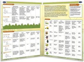 img 2 attached to Cannabinoids Terpenes Quick Reference Guide
