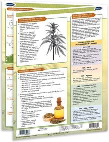 img 1 attached to Cannabinoids Terpenes Quick Reference Guide