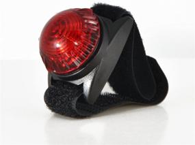 img 1 attached to Red Adventure Lights Guardian Dog Light for Enhanced Visibility and Safety