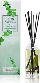 img 1 attached to 🌿 Urban Naturals Eucalyptus Spearmint Aromatherapy Diffuser Set for Stress Relief and Home Fragrance, Fresh Scent Room Freshener + Decor, Ideal Home Gift. Vegan