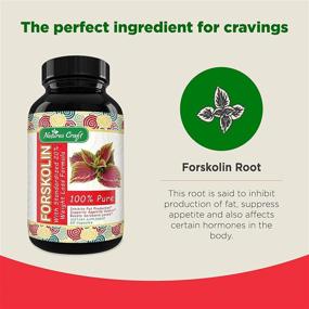 img 2 attached to Forskolin Weight Loss Supplement: Natural Appetite Suppressant, Maximum Strength Metabolism Booster, Sugar Blocker, Belly Fat Burner, Immune Support, and Carb Blocker - Achieve Natural Weight Loss