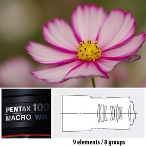 img 1 attached to Pentax 100mm f/2.8 WR D FA smc Macro Lens Review for Pentax Digital SLR Cameras