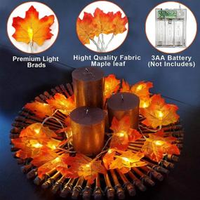 img 2 attached to 2-Pack Thanksgiving Lights: Fall Maple Leaves String Lights for Thanksgiving Decorations - Total 20 Ft & 40 LED Maple Leaves Lights Battery Operated - Fall Lights for Holiday Autumn Garland, Home Indoor Decor