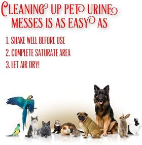 img 1 attached to 🐾 Stink Free Pet Urine Odor Remover - Powerful Cleaner & Neutralizer for Cat & Dog Pee on Carpets, Rugs, Mattresses, Floors, 32 oz. (1 Quart)