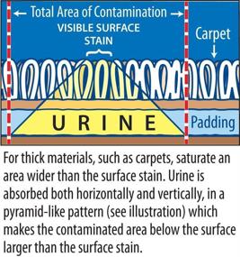 img 2 attached to 🐾 Stink Free Pet Urine Odor Remover - Powerful Cleaner & Neutralizer for Cat & Dog Pee on Carpets, Rugs, Mattresses, Floors, 32 oz. (1 Quart)