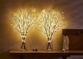 img 2 attached to 🌿 LITBLOOM Lighted Willow Branches with Timer and Dimmer - 2 Sets 32IN 150 LED Warm White Lights - Waterproof Plug In for Holiday and Party Decoration