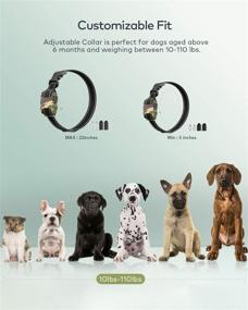 img 3 attached to 🐶 Rechargeable Bark Collar for Small Medium Large Dogs - PETDIARY Barking Collar with Beep Vibration and 2 Training Modes