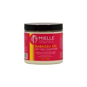 img 1 attached to 💆 Mielle Organics Haircare Set - Babassu Conditioning Shampoo 8 oz + Babassu Oil And Mint Deep Conditioner 8 oz