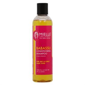 img 2 attached to 💆 Mielle Organics Haircare Set - Babassu Conditioning Shampoo 8 oz + Babassu Oil And Mint Deep Conditioner 8 oz