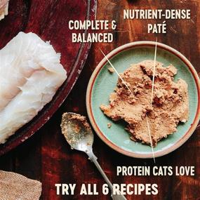 img 3 attached to Wellness CORE Grain Free Wet Cat Food - Smooth Pate, Natural Adult Formula with Added Vitamins & Minerals, No Meat By-Products, Wheat, Corn, or Soy. Free from Artificial Flavors, Colors, Preservatives, or Carrageenan.