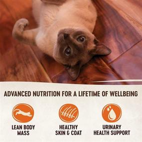 img 2 attached to Wellness CORE Grain Free Wet Cat Food - Smooth Pate, Natural Adult Formula with Added Vitamins & Minerals, No Meat By-Products, Wheat, Corn, or Soy. Free from Artificial Flavors, Colors, Preservatives, or Carrageenan.