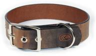 sleepy pup big leather collar logo