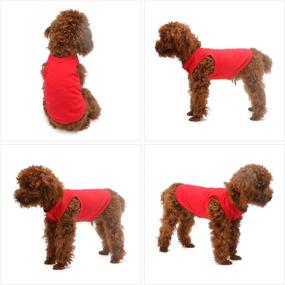 img 1 attached to Lovelonglong 2019 Pet Clothing Costumes - Puppy Dog Clothes Blank T-Shirt Tee Shirts for Large, Medium, and Small Dogs. 100% Cotton Classic Pet Clothing Vest in 18 Vibrant Colors - Ideal for Puppies and Doggies