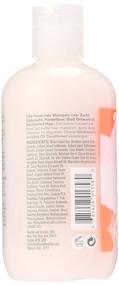 img 1 attached to Bumble and Bumble Hairdresser's Invisible Oil Sulfate Free Shampoo - Nourishing Peach Formula - 8.5 Fl Oz