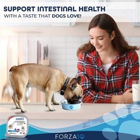 img 3 attached to 🐶 Forza10 Actiwet Canned Intestinal Dog Food - Gastro Intestinal Wet Food for Dogs with Intestinal Disorders - Fish Flavor - 32 Pack Case (3.5 Ounce each)