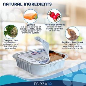 img 2 attached to 🐶 Forza10 Actiwet Canned Intestinal Dog Food - Gastro Intestinal Wet Food for Dogs with Intestinal Disorders - Fish Flavor - 32 Pack Case (3.5 Ounce each)