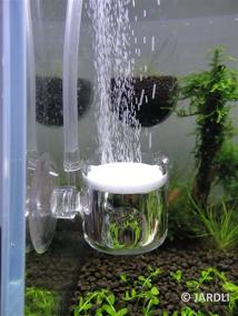 img 1 attached to 🌿 Optimizing Aquarium Planted Tank with JARDLI Pollen Glass CO2 Diffuser