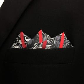 img 2 attached to 👔 Enhance Your Style with SHLAX WING Necktie Paisley Classic Men's Accessories