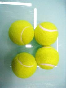 img 3 attached to 🎾 Swity Home 12-Pack Tennis Balls - Ideal for Lessons, Practice, and Interactive Pet Play